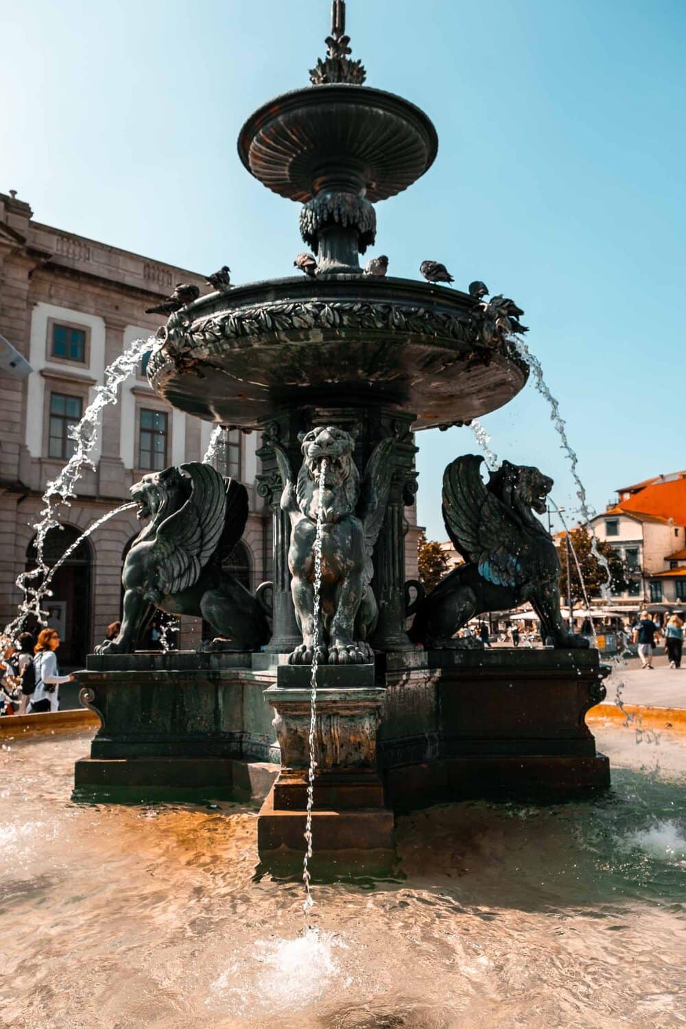 7 ThingstodoaloneinPortoPortugal 7 ThingstodoaloneinPortoPortugal