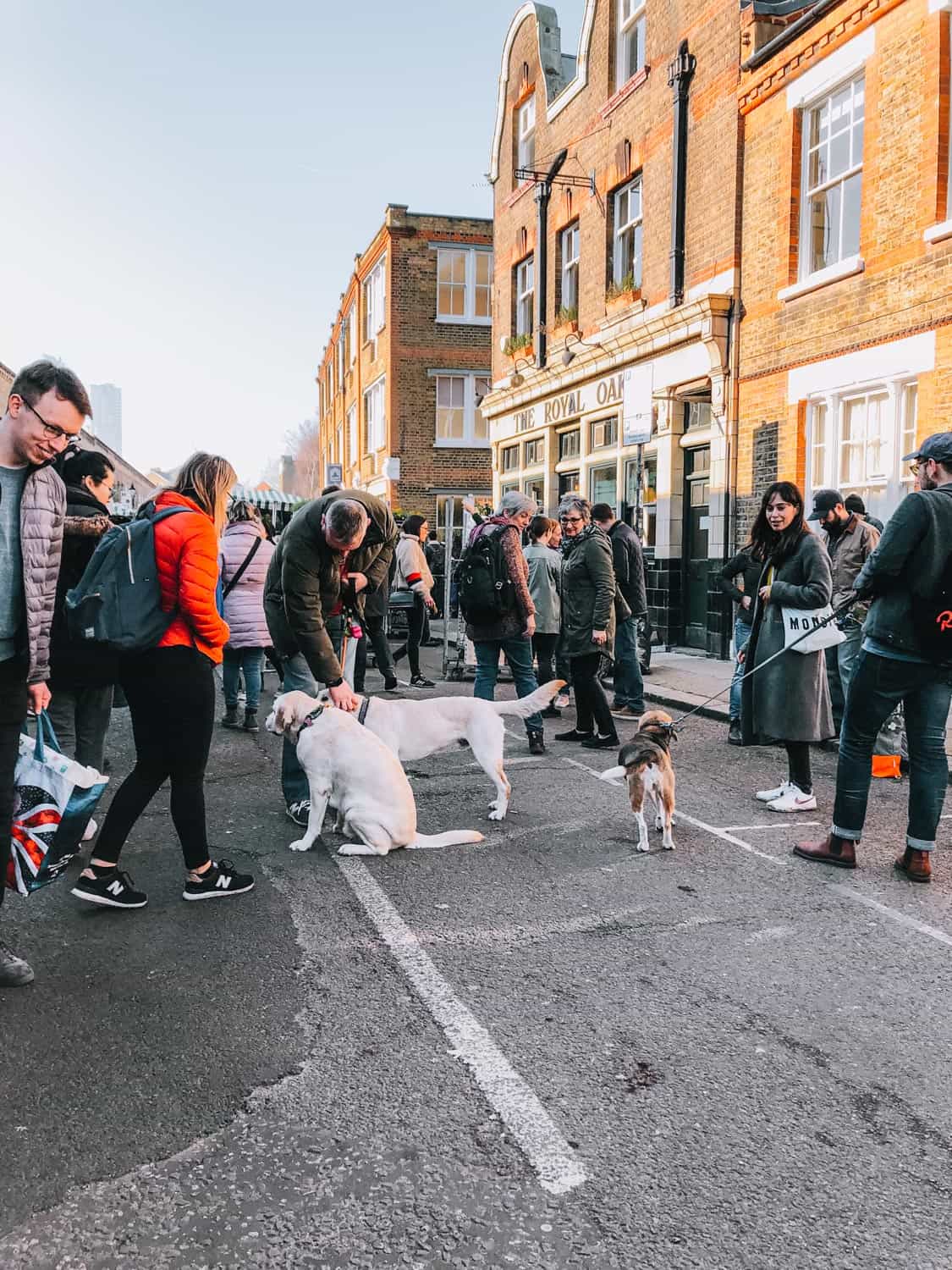 dogs on the streets of London