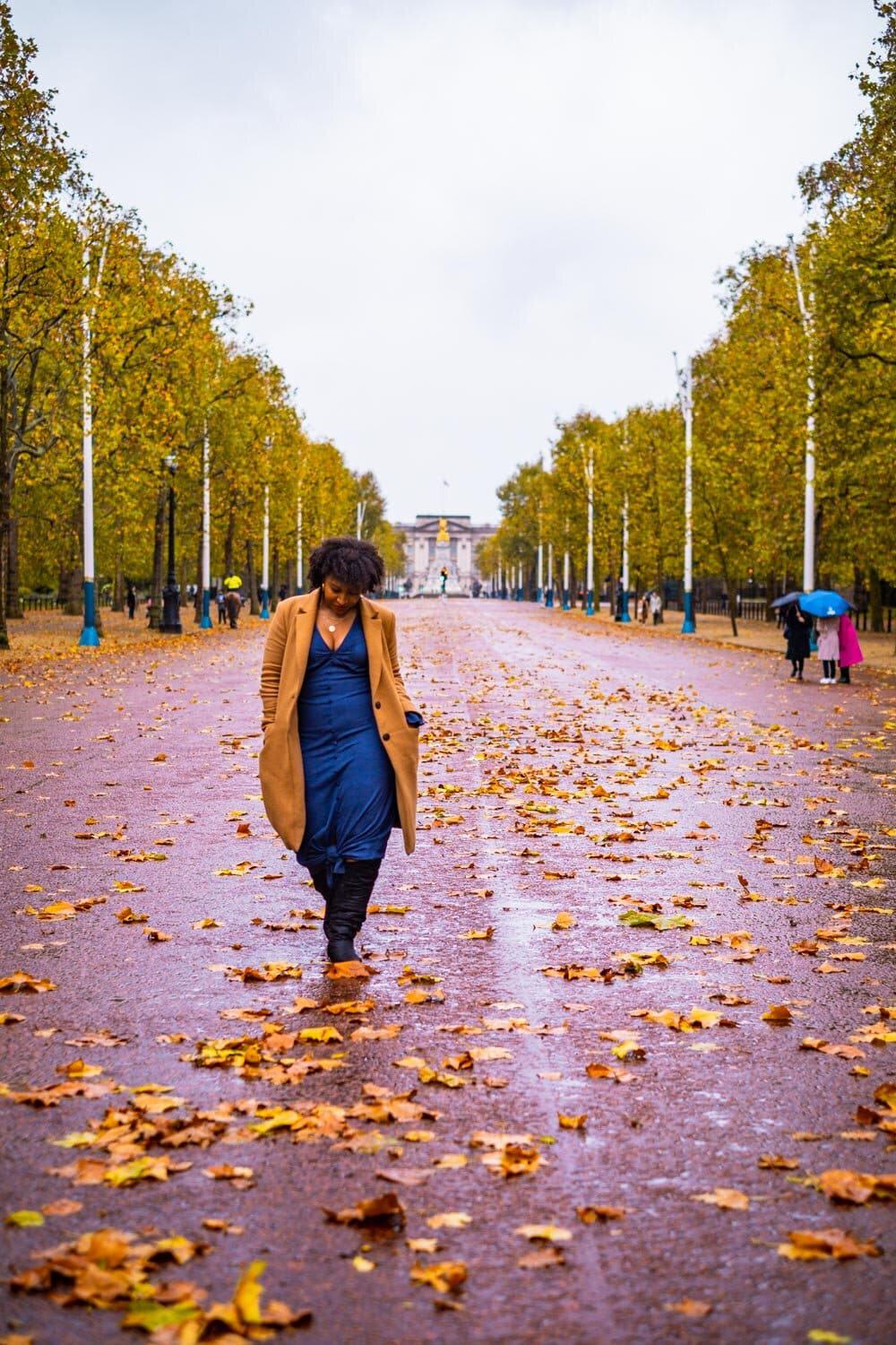 StreetsinLondonthemall Streets in London the mall.jpg