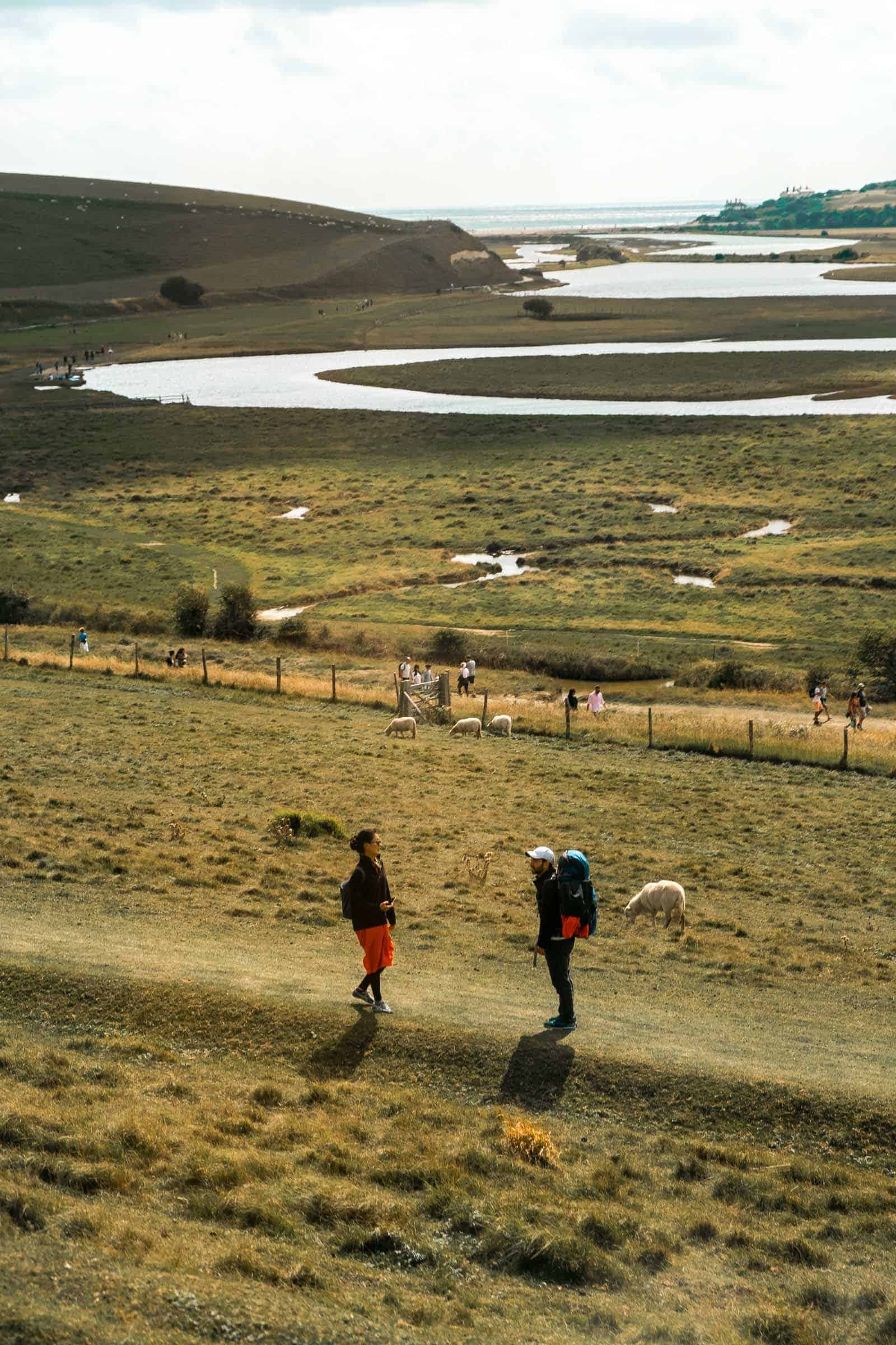 Hike South Downs Way