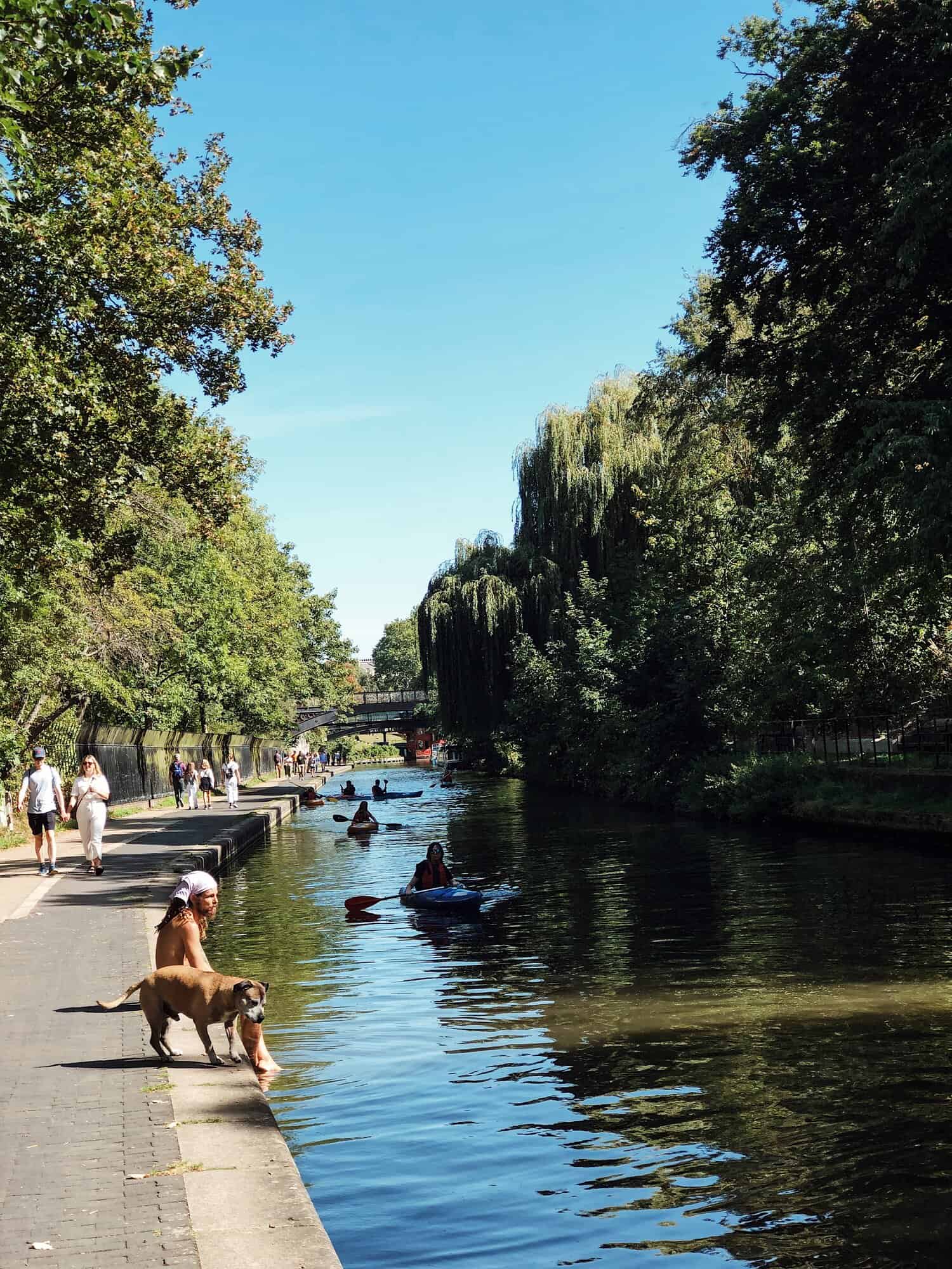 locals and tourist kayaking down the river thames