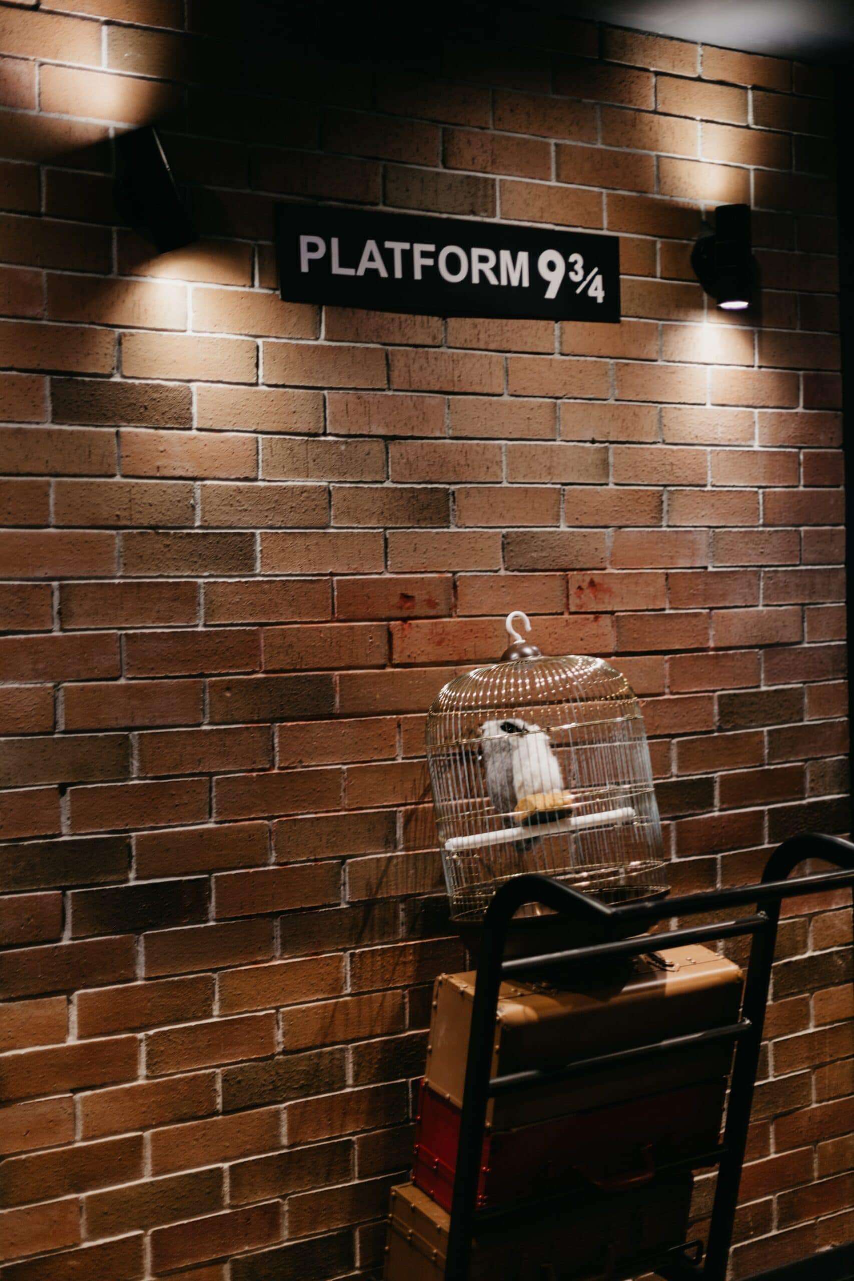 Harry Potter Platform 9 3/4
