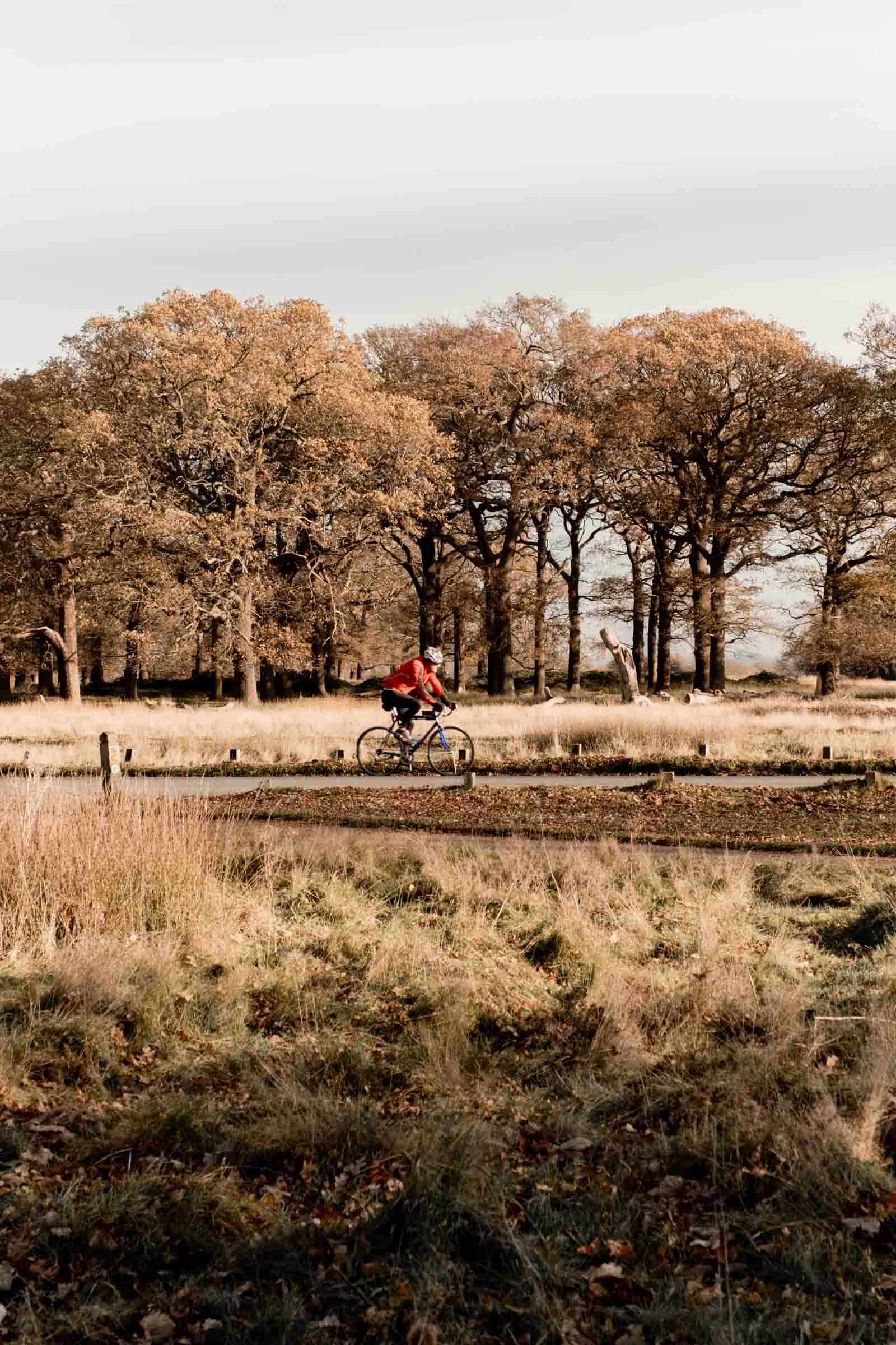 Richmond Park – a tranquil place to find fun non touristy things to do in London
