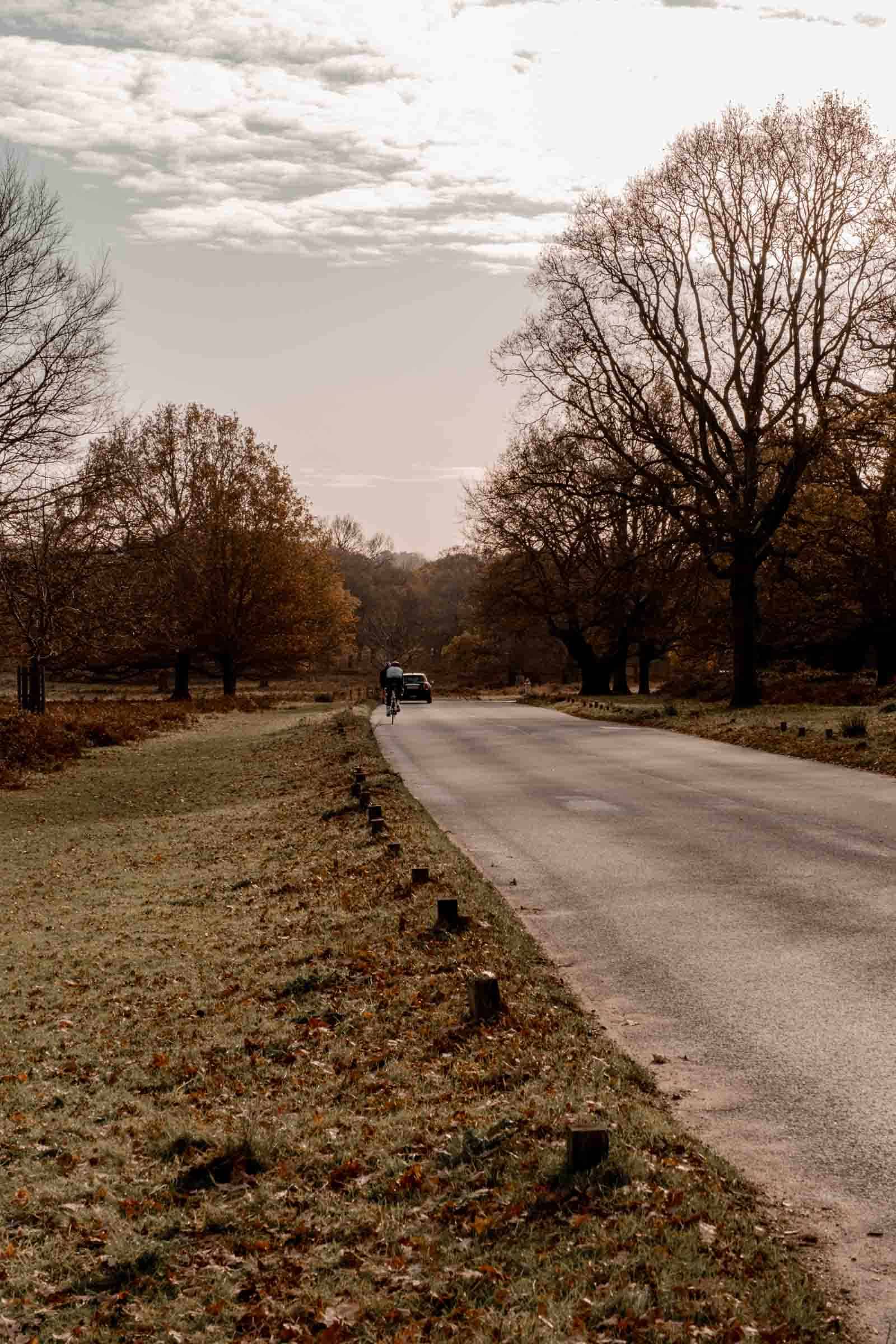 Cyclist in Richmond Payk England Cyclist in Richmond Payk England