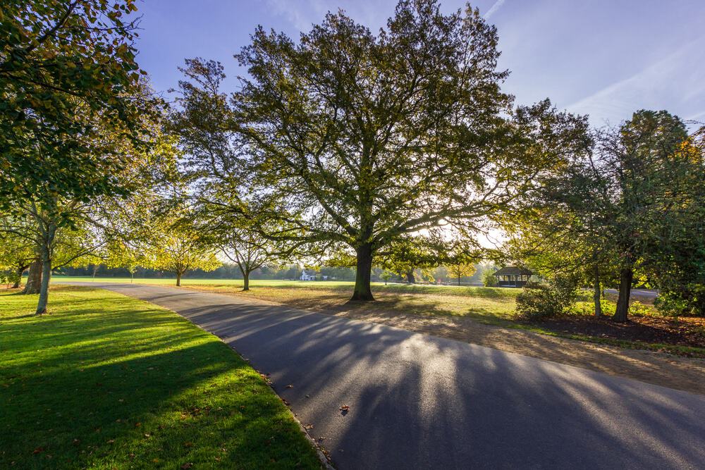 Dulwich Park London