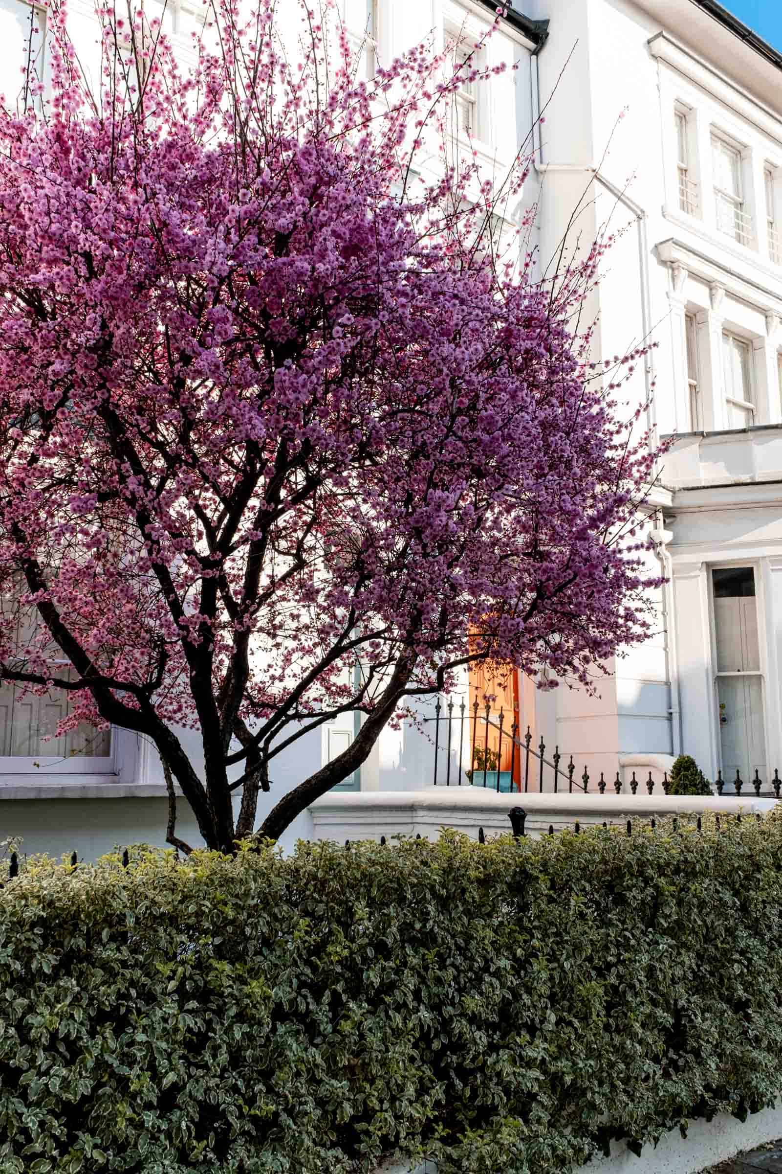 Best things to do in London in Spring Best things to do in London in Spring