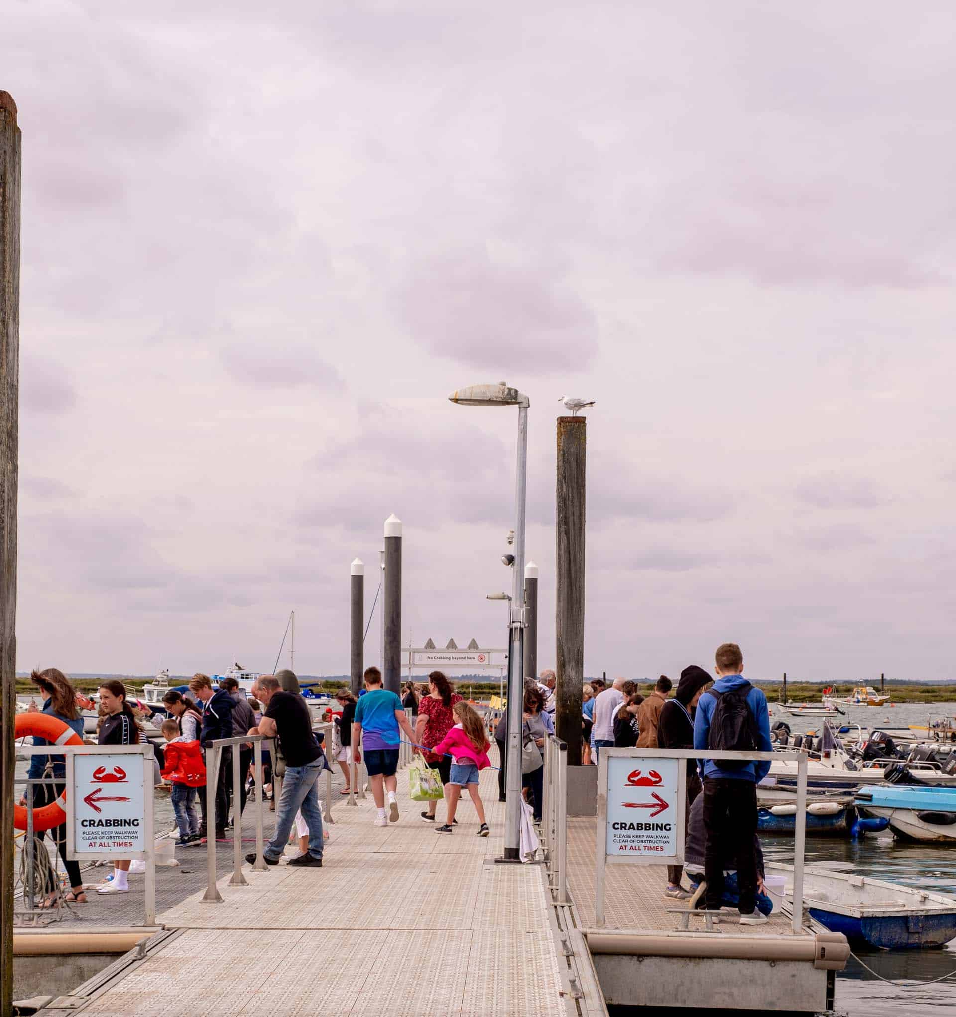 Go Crabbing on Mersea Island Go Crabbing on Mersea Island
