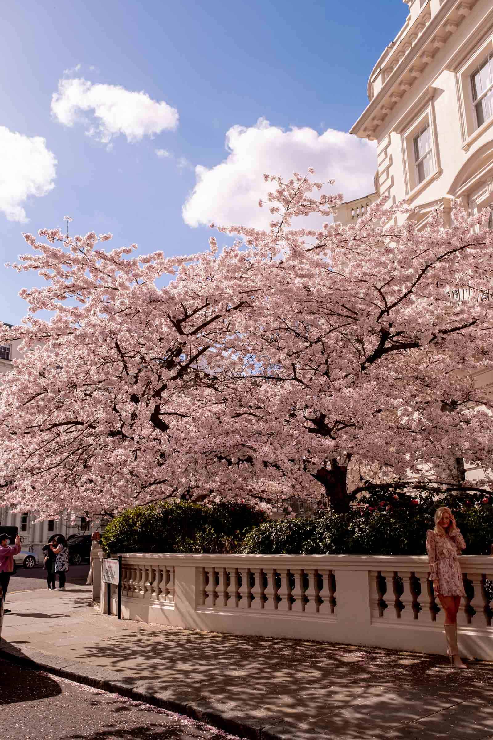 London in Spring Flowers London in Spring Flowers