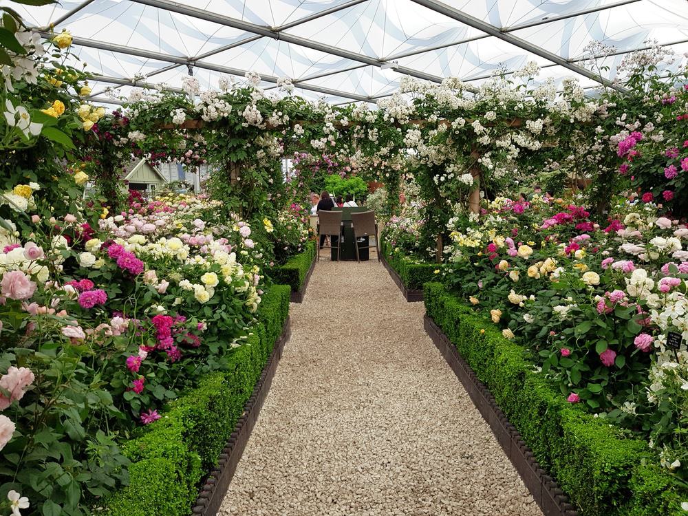 The Chelsea Flower Show The Chelsea Flower Show