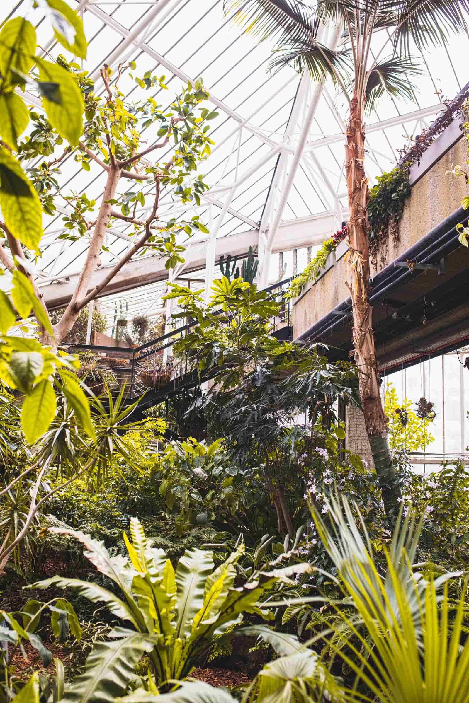 Conservatory Barican Conservatory Barican