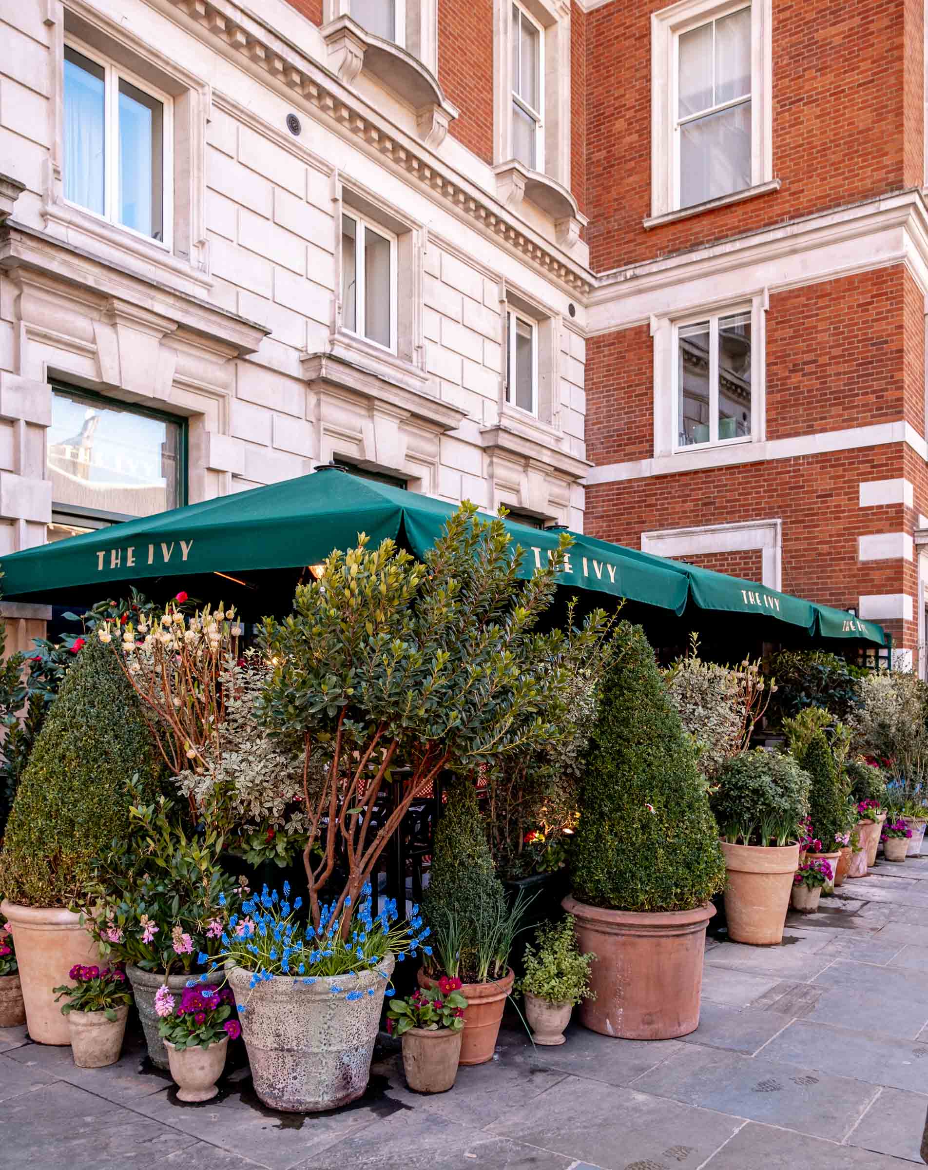 The Ivy Covent Garden