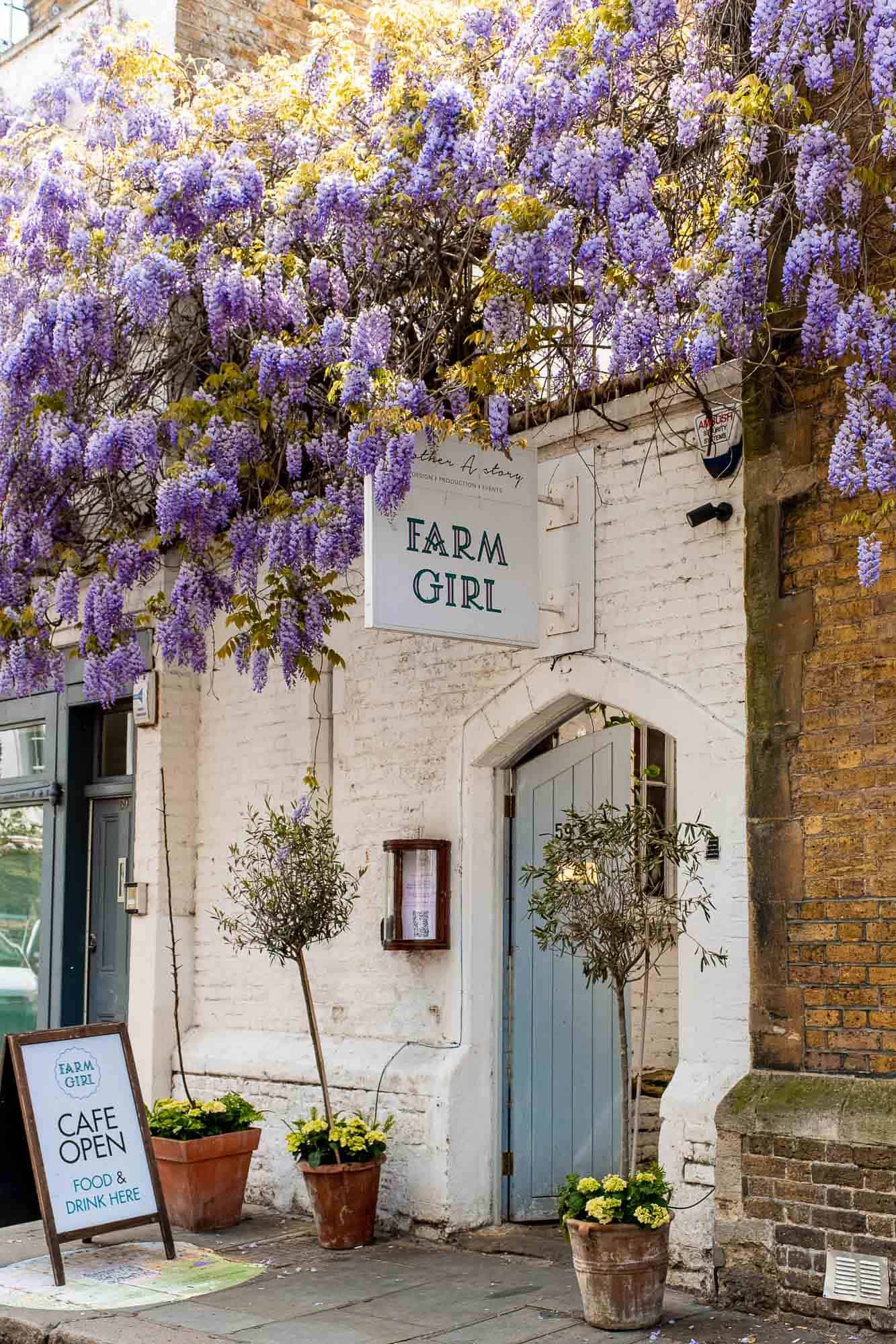 Best Cafes In Notting Hill Best Cafes In Notting Hill