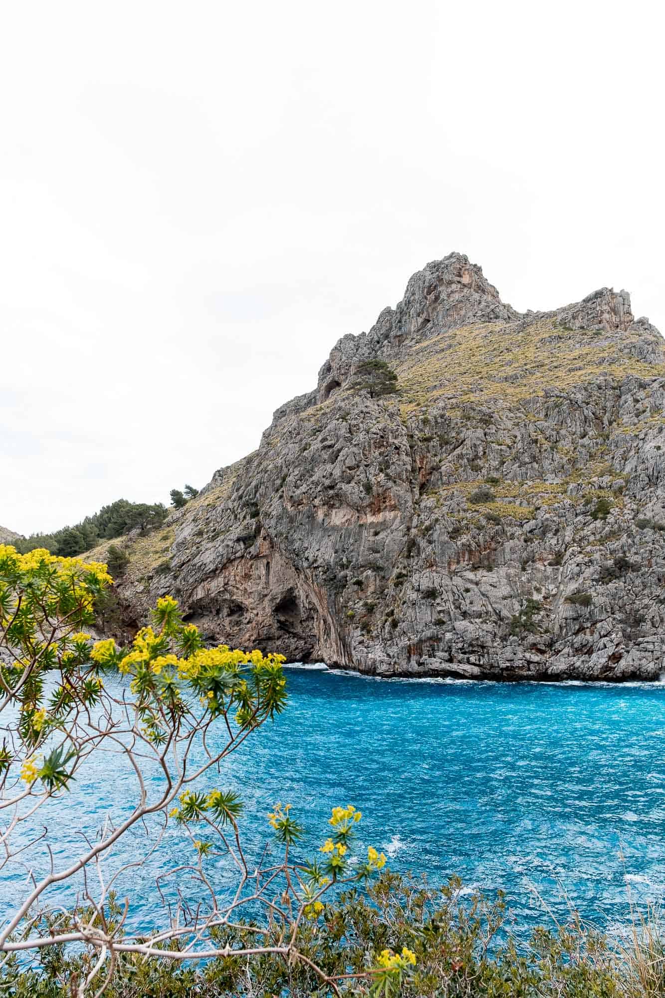 Mallorca Travel Guide