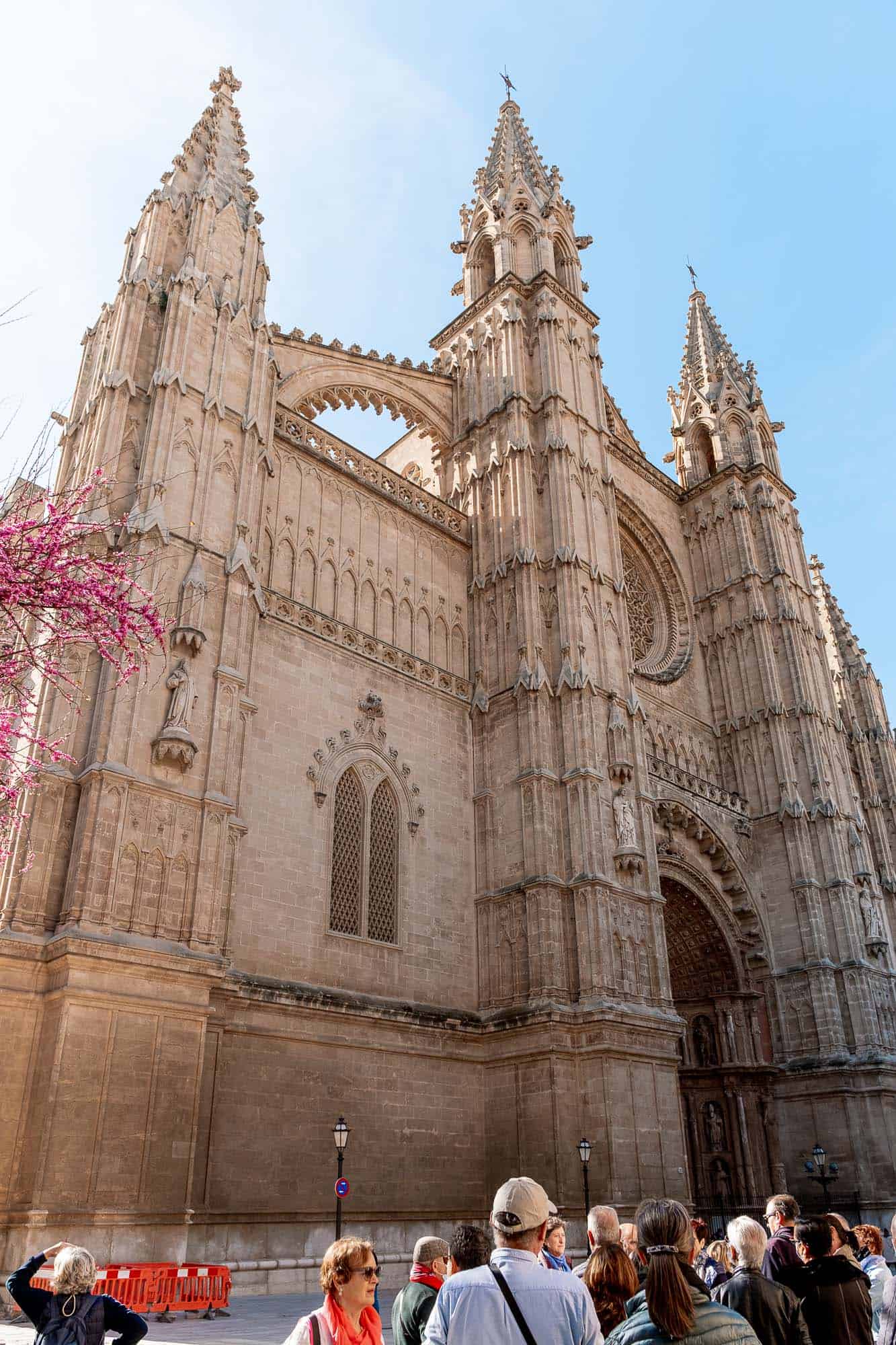 people on walking tour in front of Palma Cathedral 