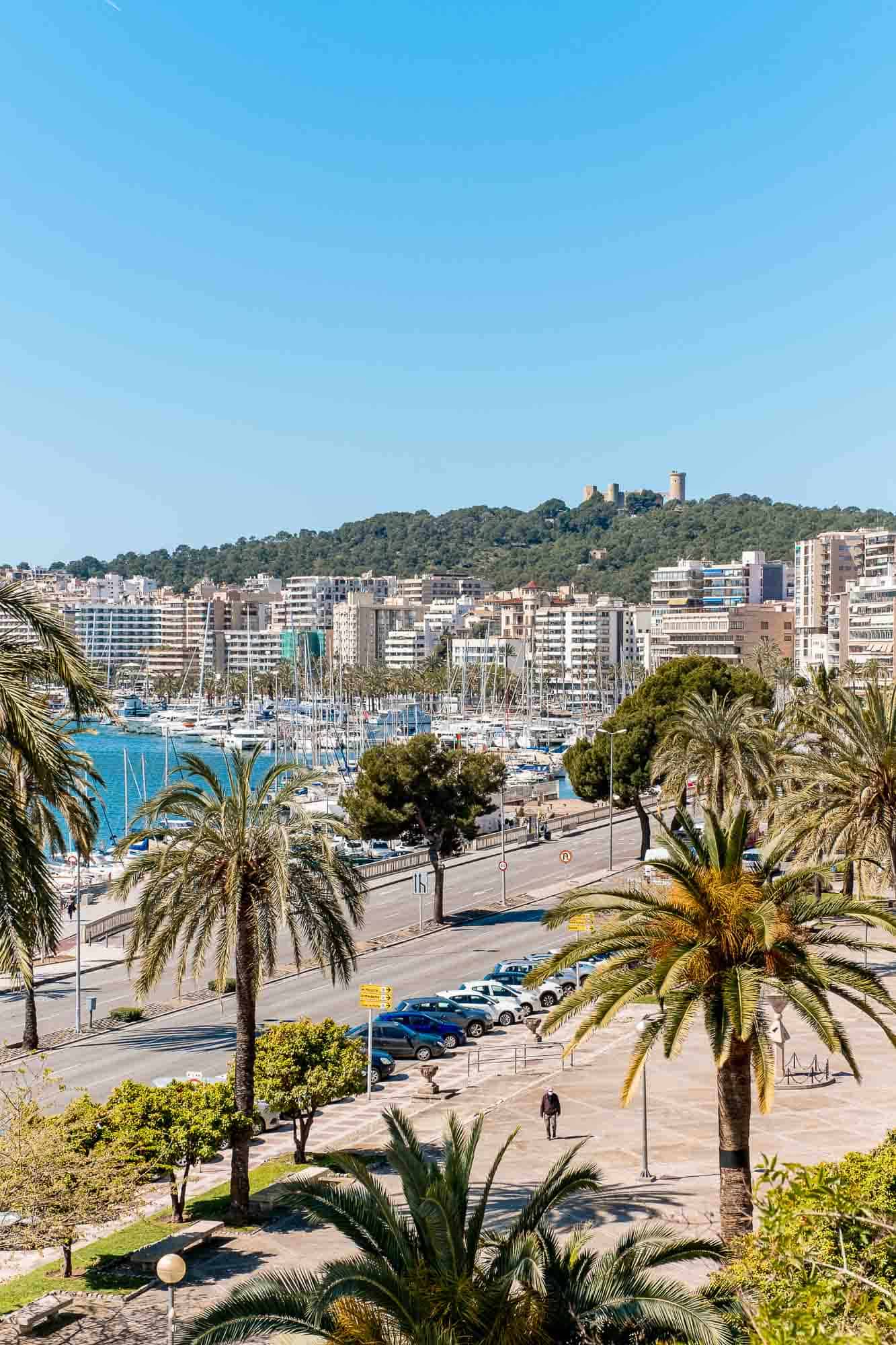 Palma Mallorca Things To Do Palma Mallorca Things To Do