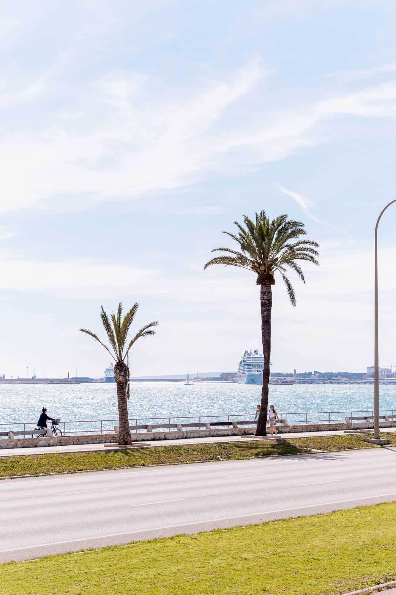 Paseo Maritimo Paseo Maritimo