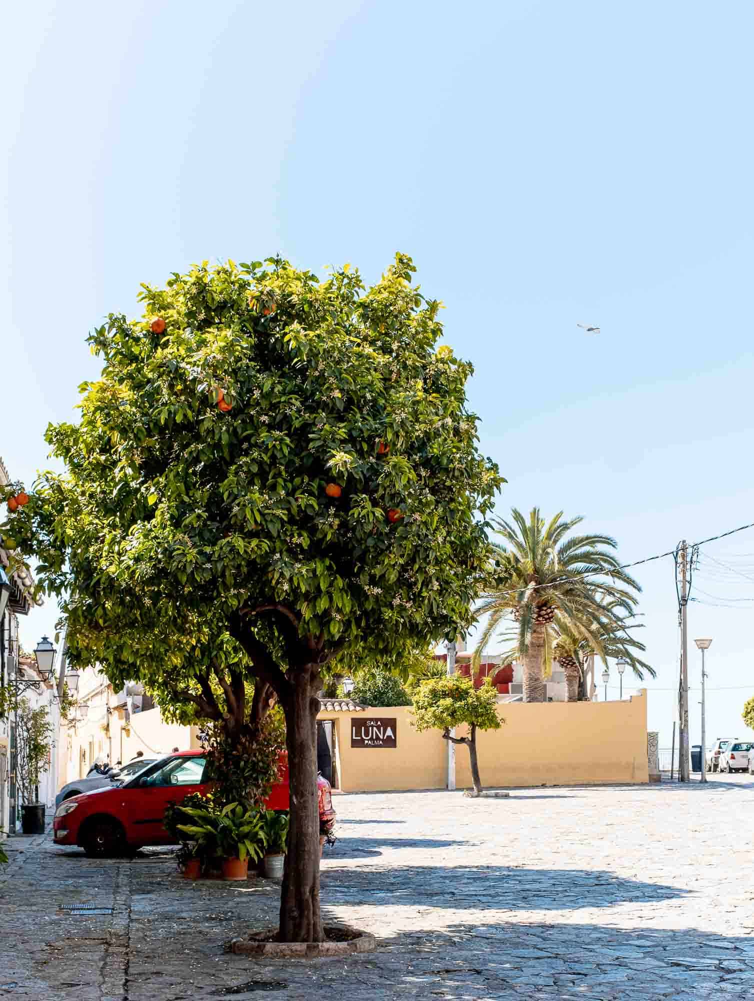 Things to do in Mallorca Things to do in Mallorca
