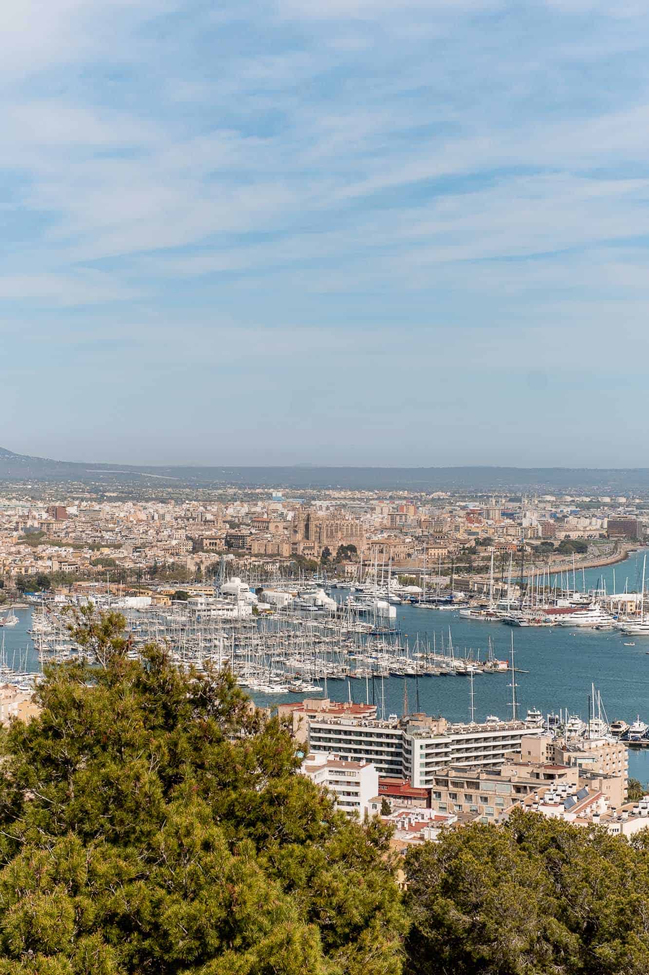 Vies of Palma harbour from Beller Bellver Castle