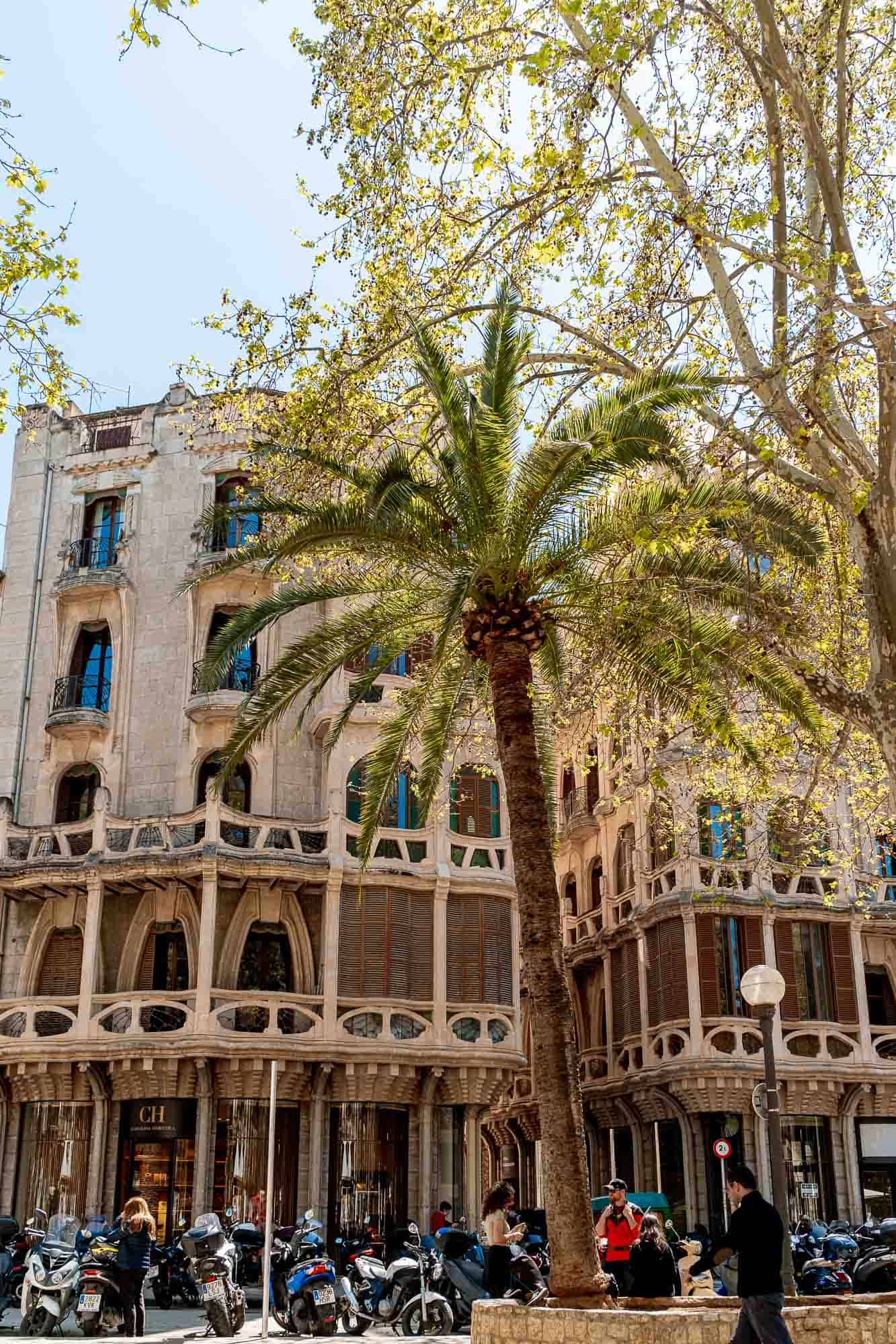 Views of building in Palma Old Town