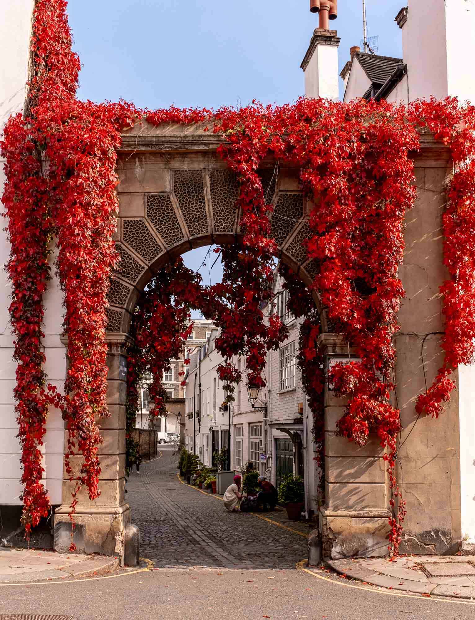 Fall Foliage at Kynance Mews