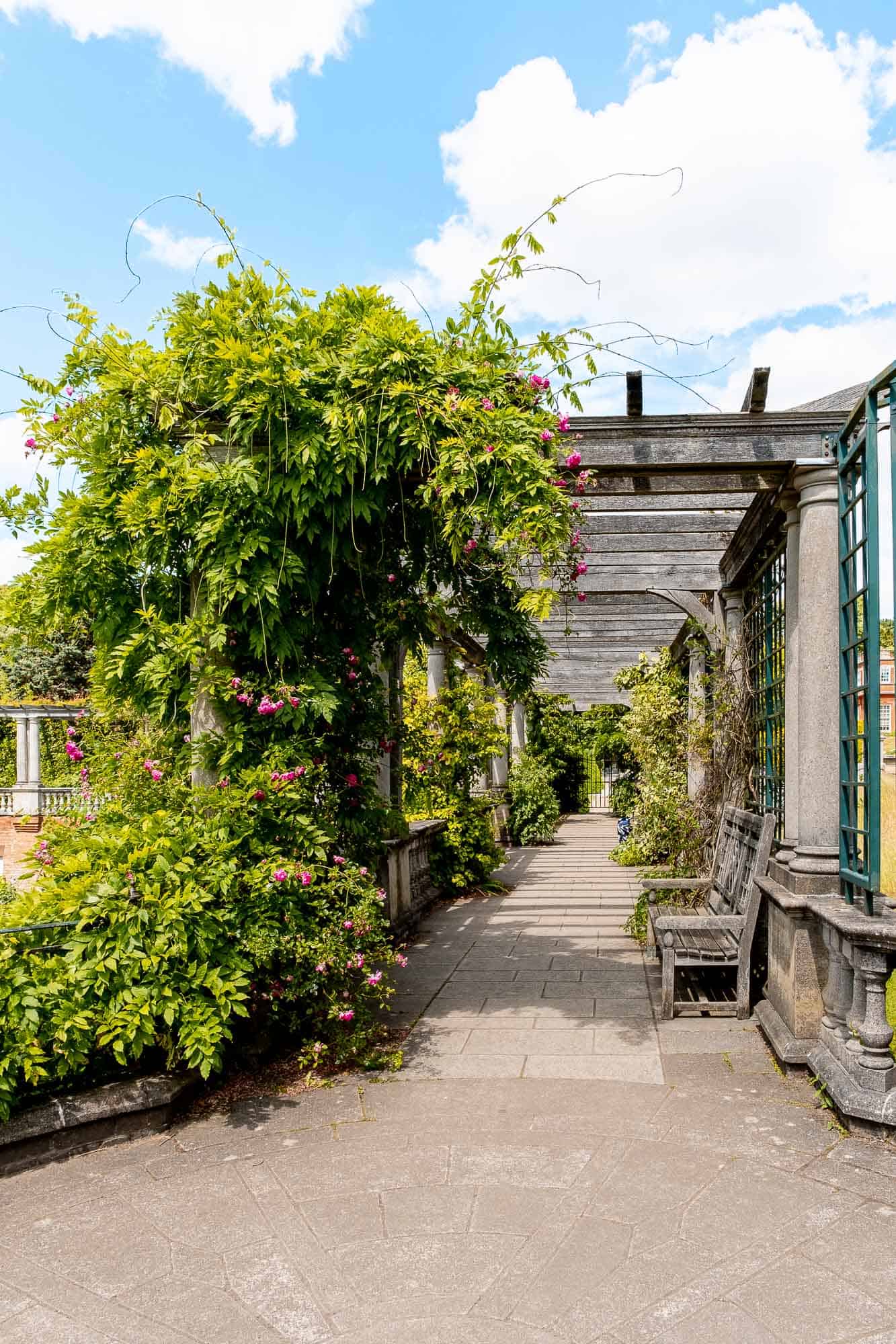 Hampstead Heath Pergola with flowers in bloom