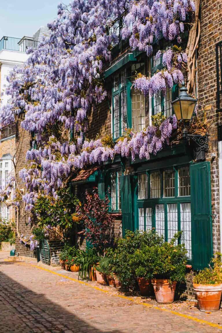 20 Prettiest Mews In London