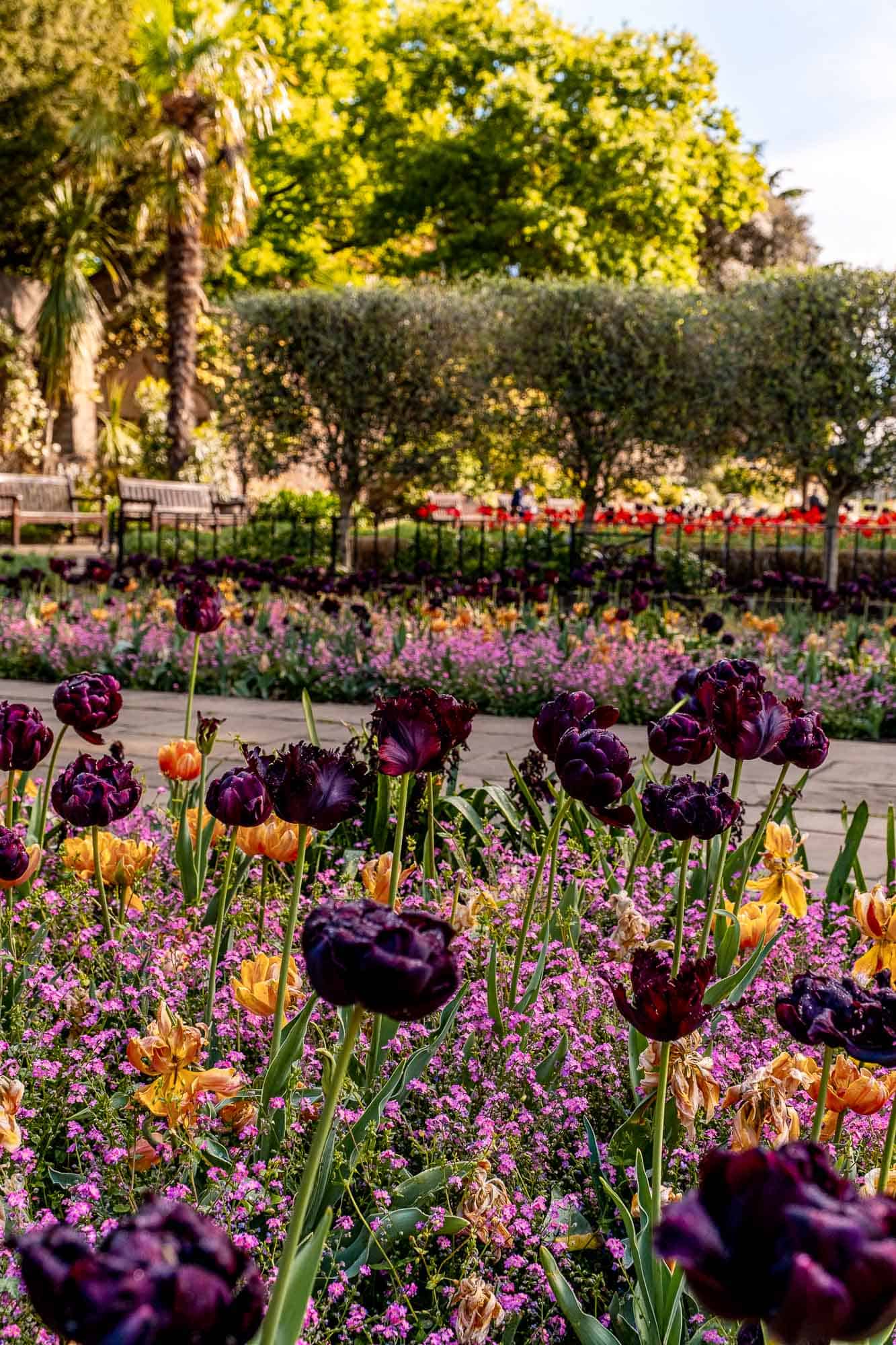 London Holland Park London Holland Park