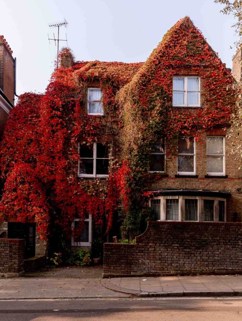 Things To Do in Hampstead London Things To Do in Hampstead London