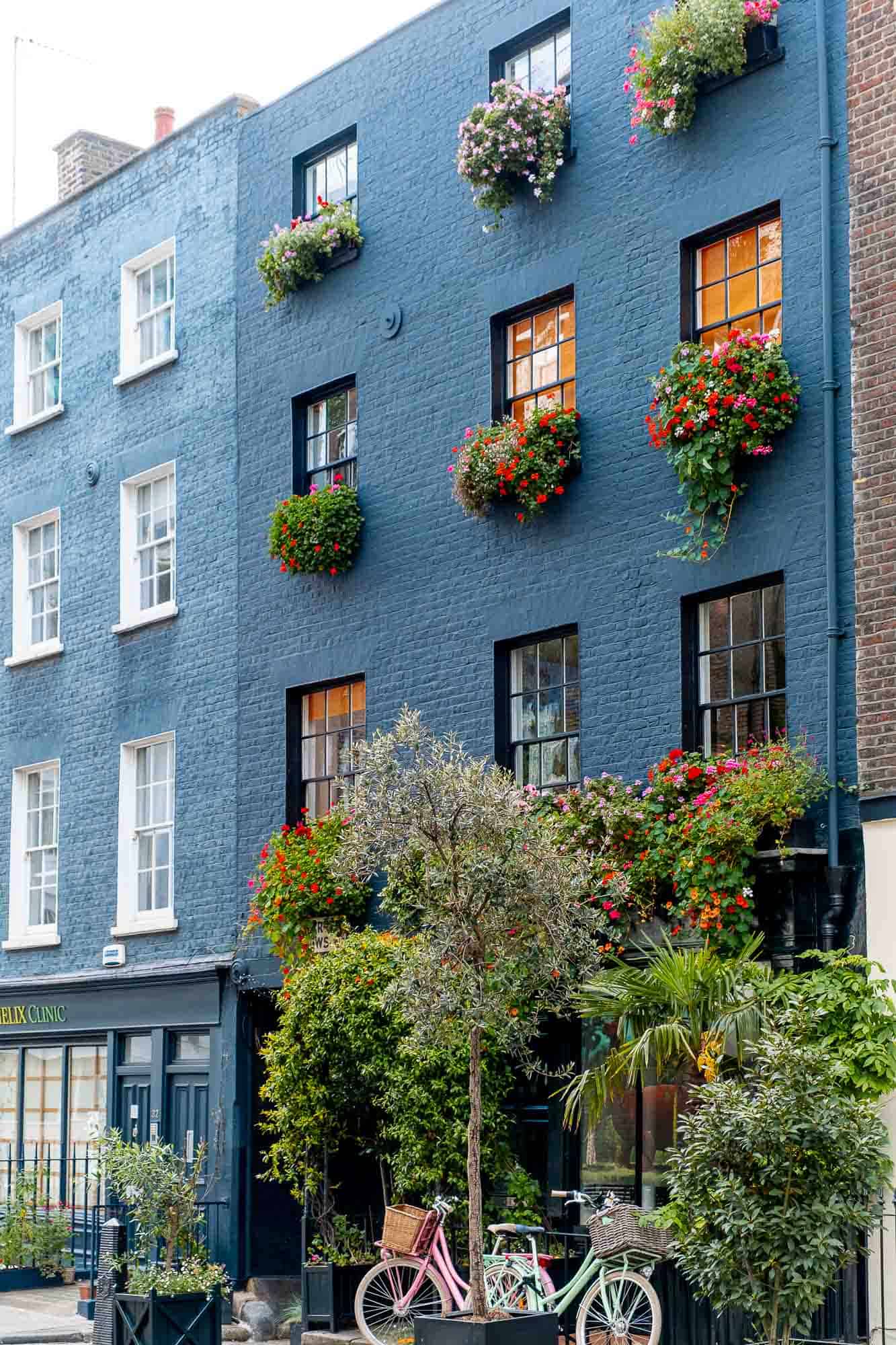 Warren Mews in London Warren Mews in London