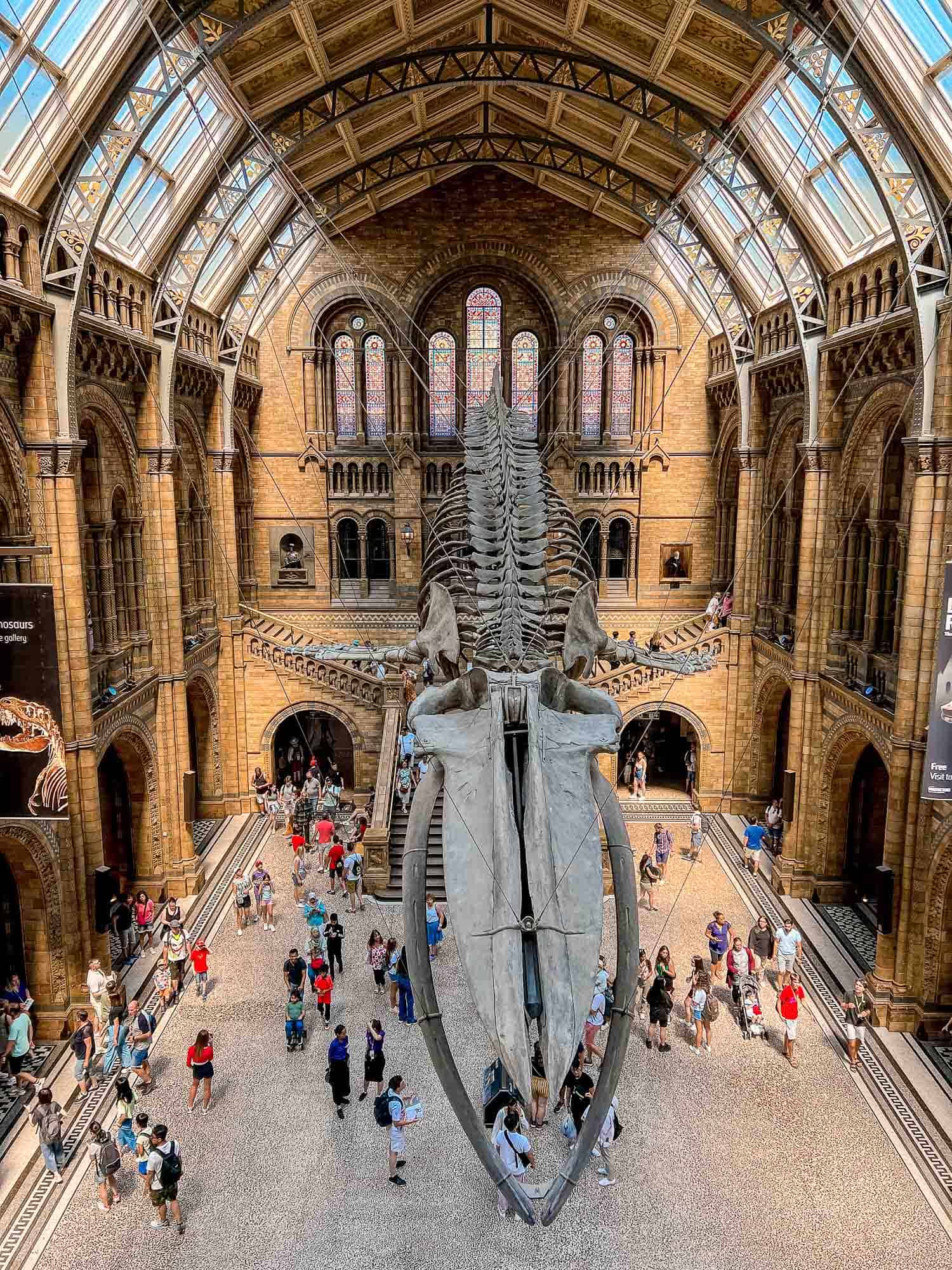 natural history museum LONDON