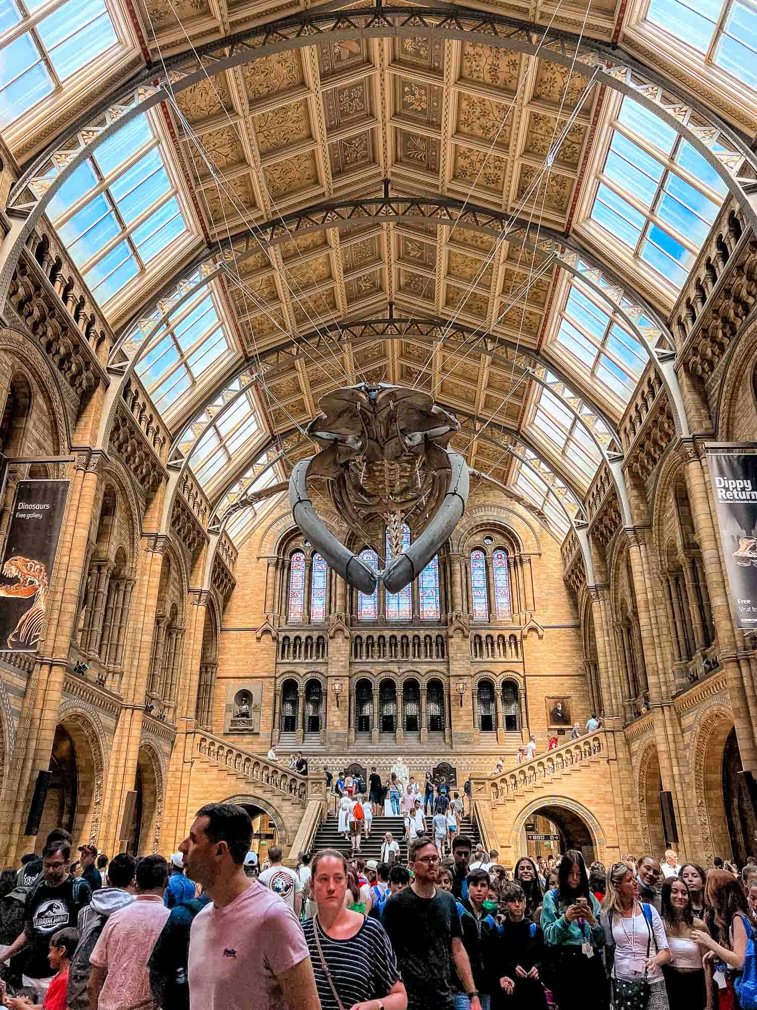 natural history museum UK natural history museum UK