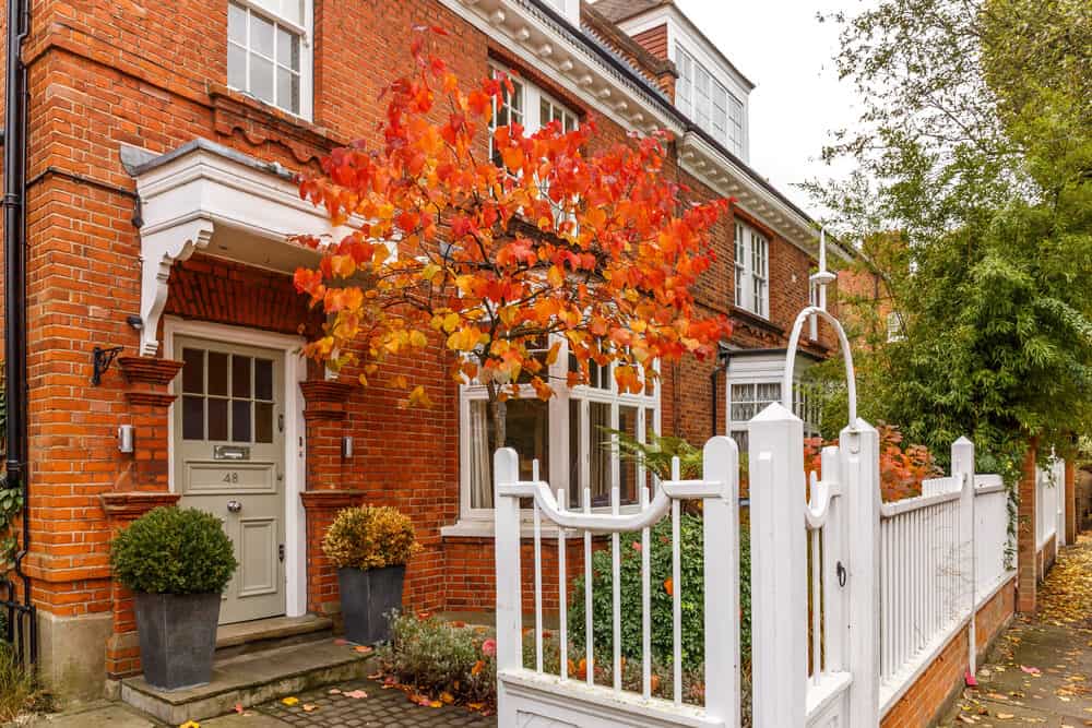 Chiswick suburb street in autumn London Chiswick suburb street in autumn London