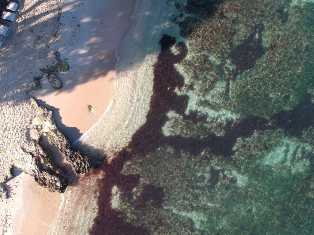 aerial view of Bloody Bay Beach Negril