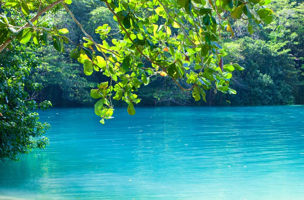Blue Lagoon Jamaica Blue Lagoon Jamaica