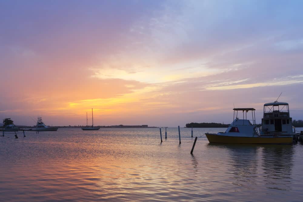 Luminous Lagoon jamaica