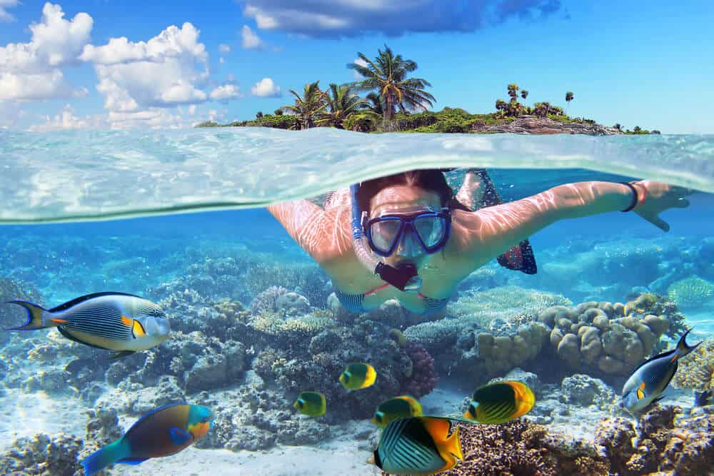 Snorkeling in the tropical water Snorkeling in the tropical water