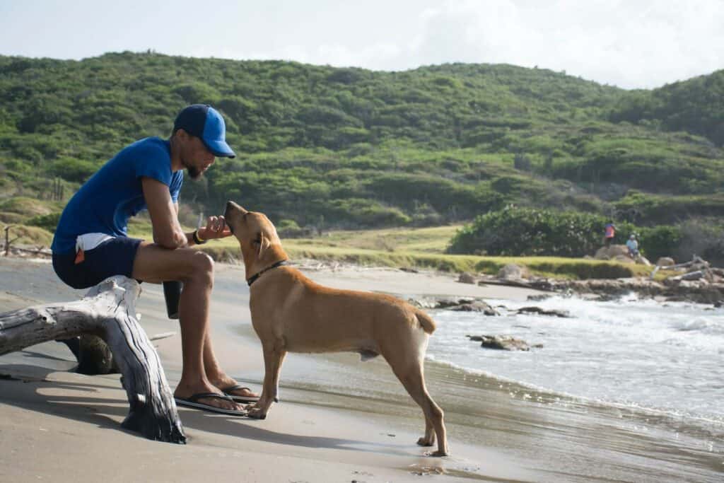 Treasure Beach in Jamaica man playing with dog on Treasure Beach on South Coast in Jamaica