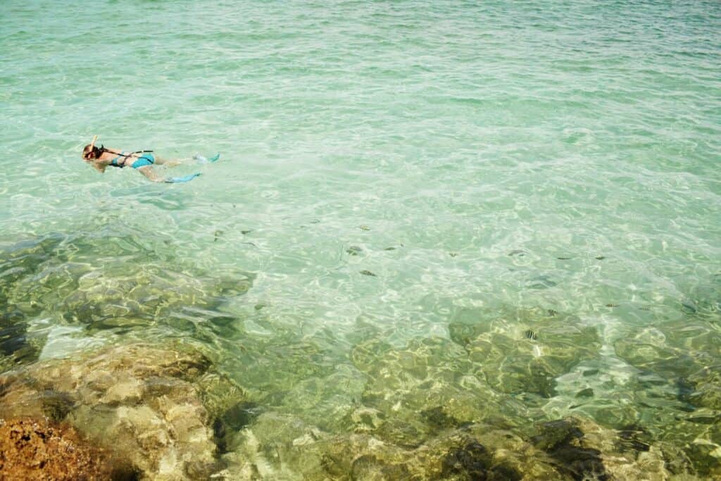 Snorkeling in Jamaica