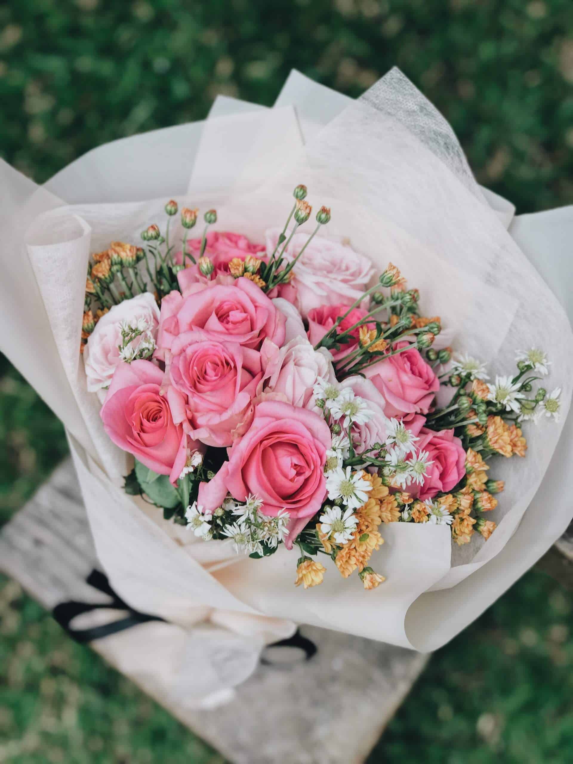 jessie daniella QLuleNy8LMM unsplash jessie daniella QLuleNy8LMM unsplash