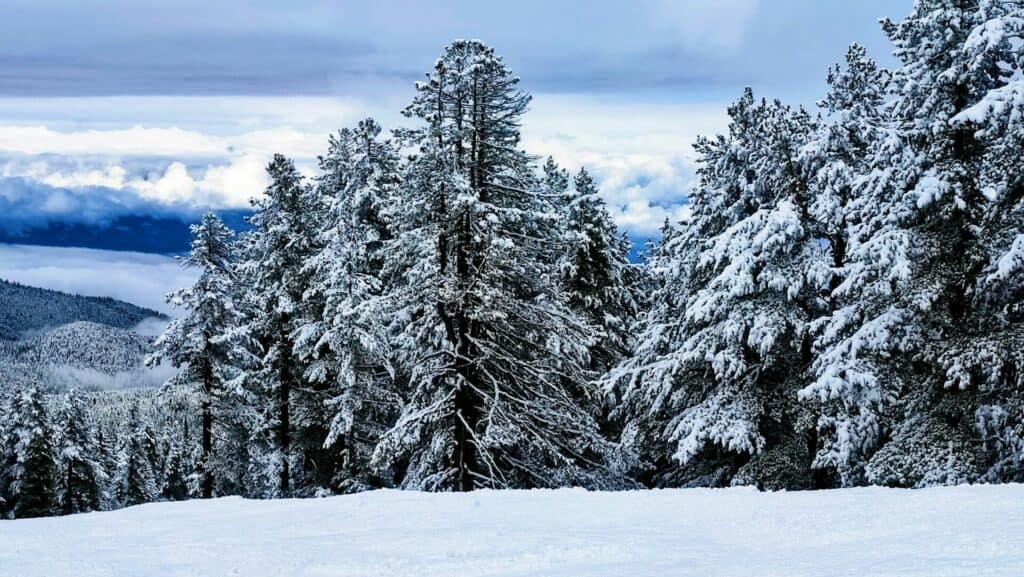 Photo Credit Ignacio Correia on Unsplash Bansko Bulgaria