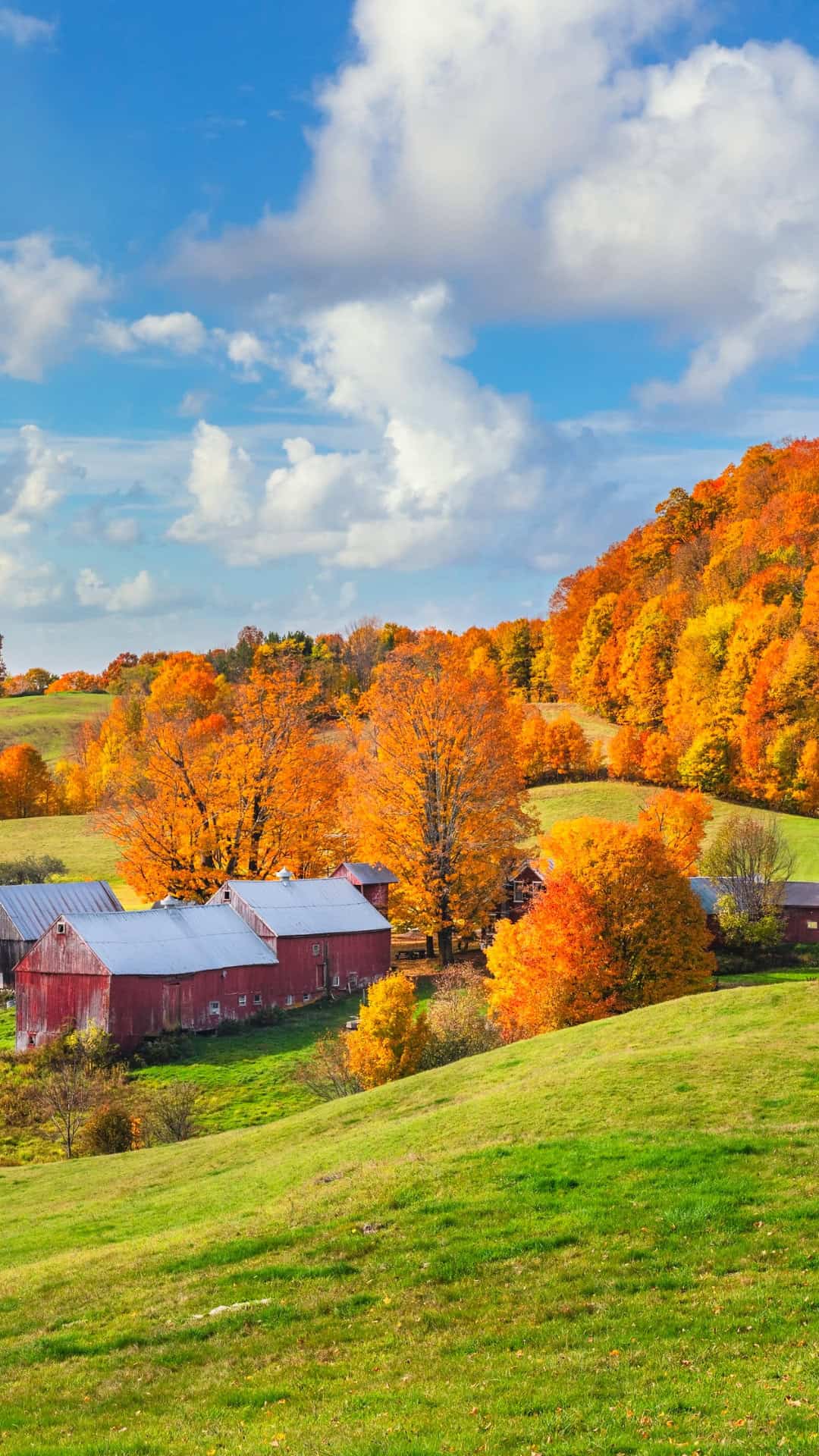 Fall in Woodstock in vermont