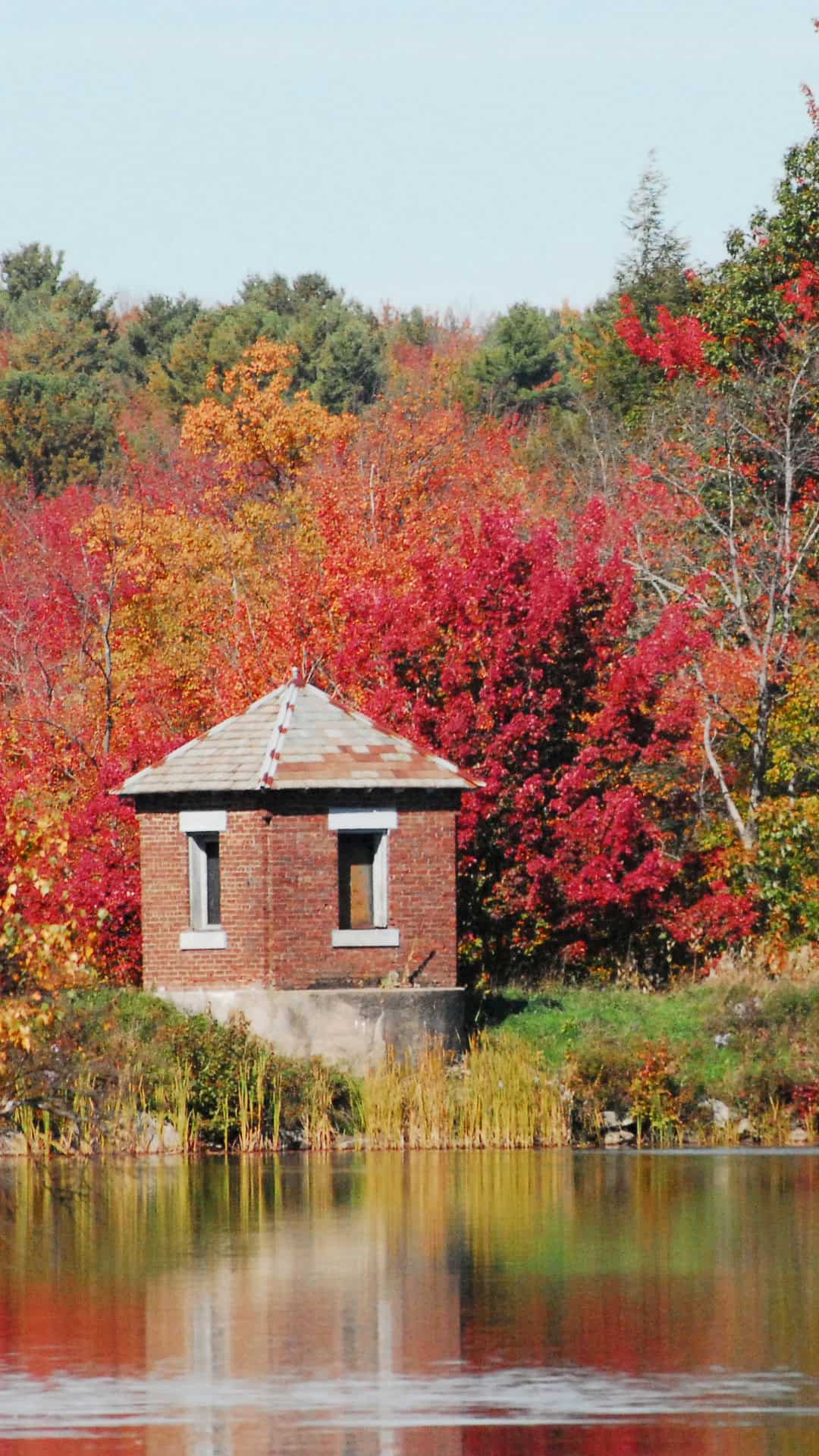 Leaf Peeping vermont
