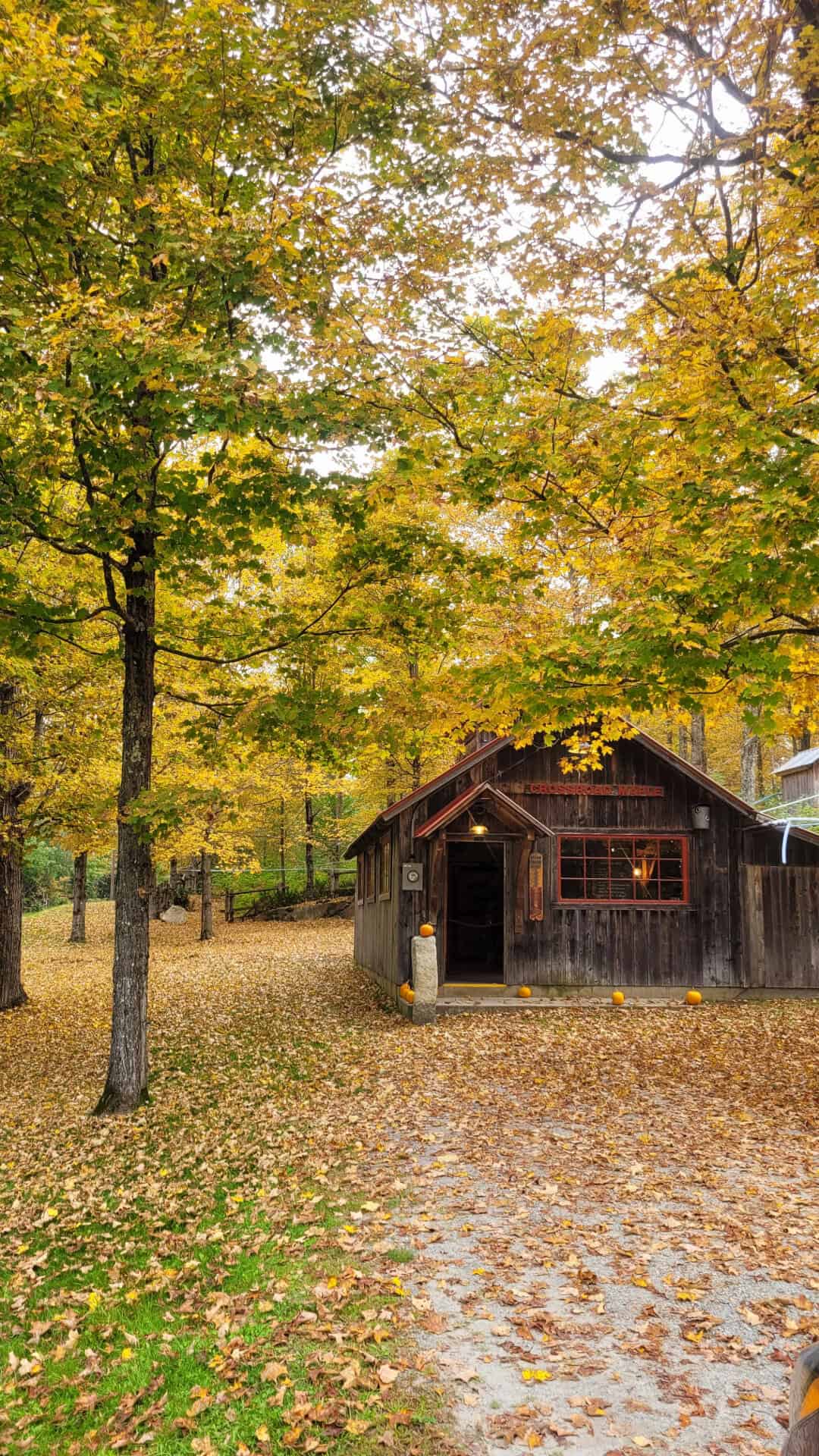 Sugar house vermont
