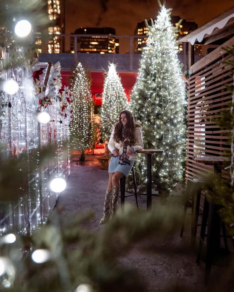 Things To Do in New York Christmas 11