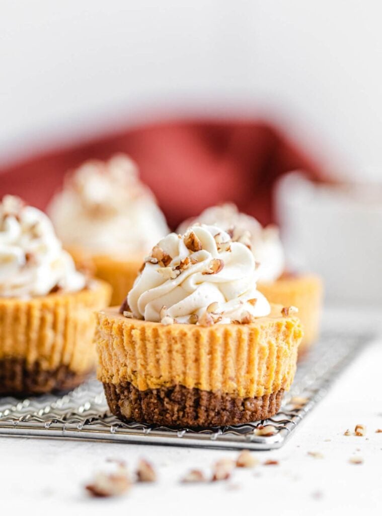 18 Pumpkin Pie Cheesecake Recipes Cute Mini Pumpkin Cheesecakes with Whipped Cream Swirls