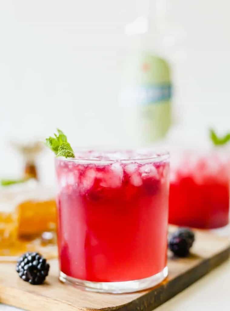 4 Easy Blackberry Cocktail with Fresh Mint blackberry gin best cocktail recipes